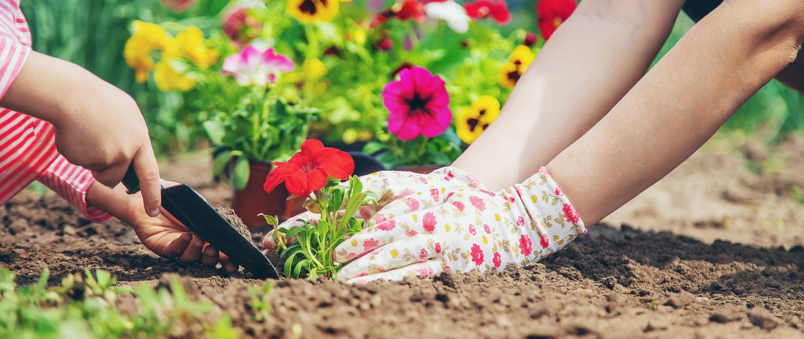 Expert Tips on Planning Your Garden for Spring