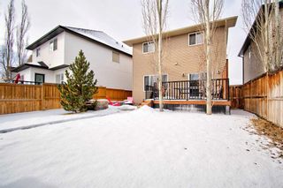Photo 28: 16 Elgin Meadows Manor SE in Calgary: McKenzie Towne Detached for sale : MLS®# A2107233