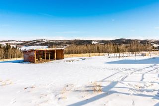 Photo 28: 311110 Parkins Road: Rural Foothills County Detached for sale : MLS®# A1048150