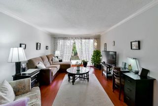 Photo 5: 105 7151 EDMONDS Street in Burnaby: Highgate Condo for sale in "BAKERVIEW" (Burnaby South)  : MLS®# R2054638