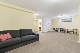 Photo 35: 107 Elgin View SE in Calgary: McKenzie Towne Detached for sale : MLS®# A1208693