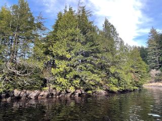 Photo 9: DL 1092 Clayoquot Island in Ucluelet: PA Ucluelet Land for sale (Port Alberni)  : MLS®# 861692