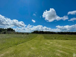 Photo 10: RR 20: Rural Wetaskiwin County Rural Land/Vacant Lot for sale : MLS®# E4300759