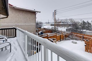 Photo 30: 136 Templeby Place NE in Calgary: Temple Detached for sale : MLS®# A2014762