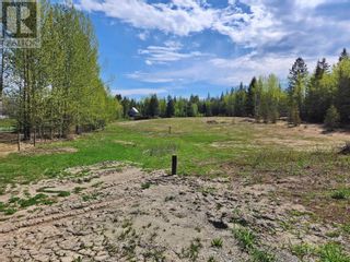 Photo 3: 2705 RED BLUFF ROAD in Quesnel: Vacant Land for sale : MLS®# R2847767