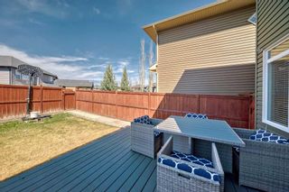 Photo 11: 314 Evanston Drive NW in Calgary: Evanston Detached for sale : MLS®# A2129617