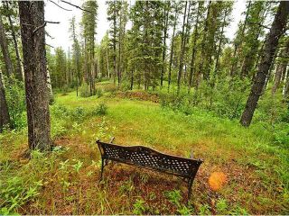 Photo 9: 231115 Forestry Way in Rural Rocky View County: Rural Rocky View MD Residential Land for sale : MLS®# A2056562