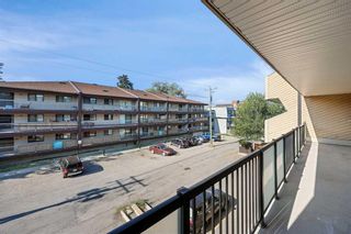 Photo 19: 303 617 56 Avenue SW in Calgary: Windsor Park Apartment for sale : MLS®# A2068870