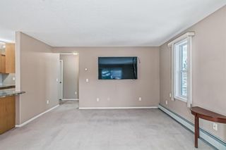 Photo 15: 246 165 Manora Place NE in Calgary: Marlborough Park Apartment for sale : MLS®# A2021263