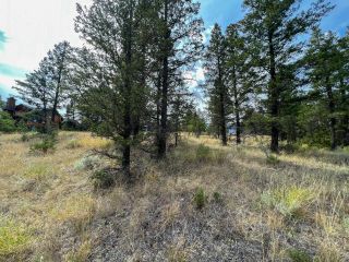 Photo 11: Lot 11 BELLA VISTA BOULEVARD in Fairmont Hot Springs: Vacant Land for sale : MLS®# 2466823