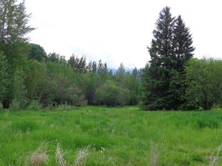 Photo 7: 2880 MOUNTAIN VIEW Road in McBride: McBride - Town Land for sale (Robson Valley)  : MLS®# R2879829
