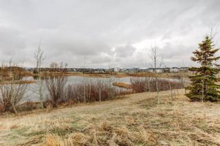 Photo 30: 53 EVANSDALE Landing NW in Calgary: Evanston Detached for sale : MLS®# A1104806