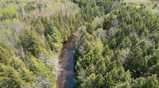 Photo 1: Williamsdale Road in Collingwood: 102S-South of Hwy 104, Parrsboro Vacant Land for sale (Northern Region)  : MLS®# 202310251