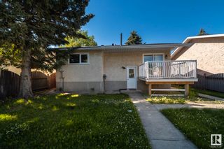 Photo 34: 5212 19 Avenue in Edmonton: Zone 29 House for sale : MLS®# E4314023