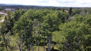 Photo 10: 162057 258 Street W: Rural Foothills County Residential Land for sale : MLS®# A2060550