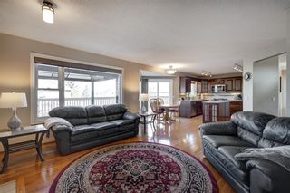 Photo 18: 100 MT COPPER Green SE in Calgary: McKenzie Lake Detached for sale : MLS®# A2041165