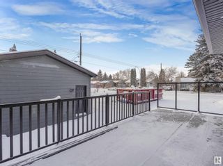 Photo 67: 4140 122 Street in Edmonton: Zone 16 House for sale : MLS®# E4369570