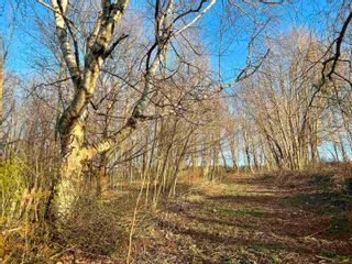 Photo 6: Lot 2022-2 Greenfield Road in Gaspereau: Kings County Vacant Land for sale (Annapolis Valley)  : MLS®# 202409252