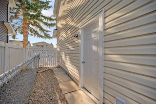 Photo 39: 103 Castlegreen Close NE in Calgary: Castleridge Detached for sale : MLS®# A2124519