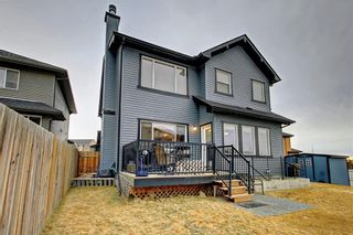 Photo 40: 135 EVANSPARK Terrace NW in Calgary: Evanston Detached for sale : MLS®# C4293070