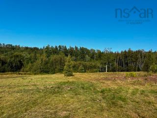 Photo 3: 13 acres Park Falls Road in Sutherlands River: 108-Rural Pictou County Vacant Land for sale (Northern Region)  : MLS®# 202318644