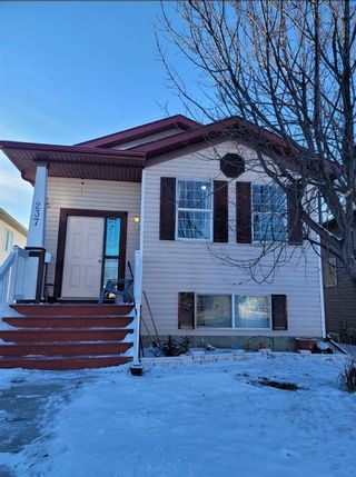Photo 1: 237 Martinvalley Road NE in Calgary: Martindale Detached for sale : MLS®# A1177364