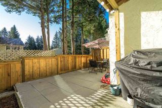 Photo 23: 21 3075 TRETHEWEY Street in Abbotsford: Abbotsford West Townhouse for sale in "Silkwood Estates" : MLS®# R2533744