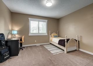 Photo 38: 35 Discovery Ridge Circle SW in Calgary: Discovery Ridge Detached for sale : MLS®# A1232411
