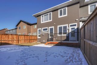 Photo 41: 123 Evanswood Circle NW in Calgary: Evanston Semi Detached for sale : MLS®# A1051099