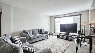 Photo 10: 312 920 68 Avenue SW in Calgary: Kingsland Apartment for sale : MLS®# A2120007
