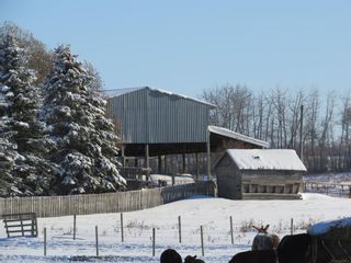 Photo 20: 4309 RGE RD 262: Rural Lacombe County Agriculture for sale : MLS®# A2012515