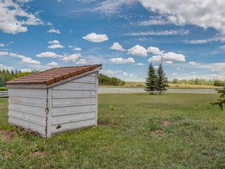 Photo 9: 8070 266 Avenue W: Rural Foothills County Detached for sale : MLS®# A2096110