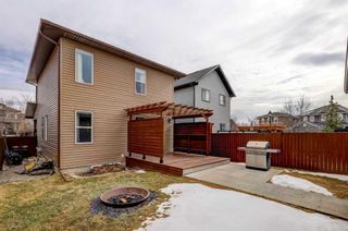 Photo 3: 1221 Ravenswood Drive: Airdrie Detached for sale : MLS®# A2119354