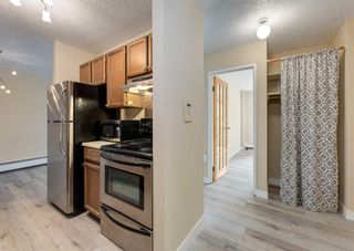 Photo 10: 201 816 89 Avenue SW in Calgary: Haysboro Apartment for sale : MLS®# A2066246
