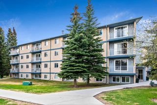 Photo 2: 403C 5601 Dalton Drive NW in Calgary: Dalhousie Apartment for sale : MLS®# A2047583