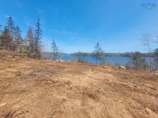 Photo 5: 12 Massachusetts Road in Granville Centre: Annapolis County Vacant Land for sale (Annapolis Valley)  : MLS®# 202210211