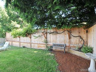 Photo 19: 3929 Braefoot Rd in VICTORIA: SE Cedar Hill House for sale (Saanich East)  : MLS®# 646556