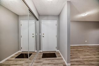 Photo 3: 101 11 Dover Point SE in Calgary: Dover Apartment for sale : MLS®# A2123034