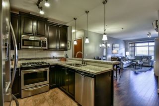 Photo 3: 414 8067 207 Street in Langley: Willoughby Heights Condo for sale in "Yorkson Creek Parkside One" : MLS®# R2214873