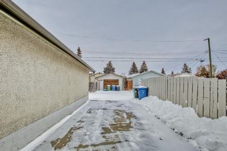 Photo 41: 192 Penbrooke Close SE in Calgary: Penbrooke Meadows Detached for sale : MLS®# A2017183