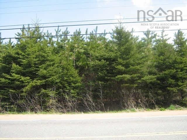 Main Photo: Trunk 12 Highway in South Alton: Kings County Vacant Land for sale (Annapolis Valley)  : MLS®# 202214959