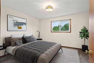 Photo 12: 134 Kairistine Lane in Winnipeg: Tyndall Park Residential for sale (4J)  : MLS®# 202225023