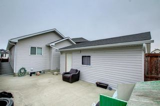 Photo 47: 55 Tarawood Grove NE in Calgary: Taradale Detached for sale : MLS®# A1183336