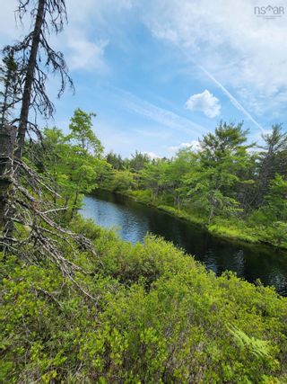 Photo 11: Lot 14 Virginia Road in West Springhill: Annapolis County Vacant Land for sale (Annapolis Valley)  : MLS®# 202400079