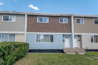 Main Photo: 110 Terrace Park: Red Deer Row/Townhouse for sale : MLS®# A2139416