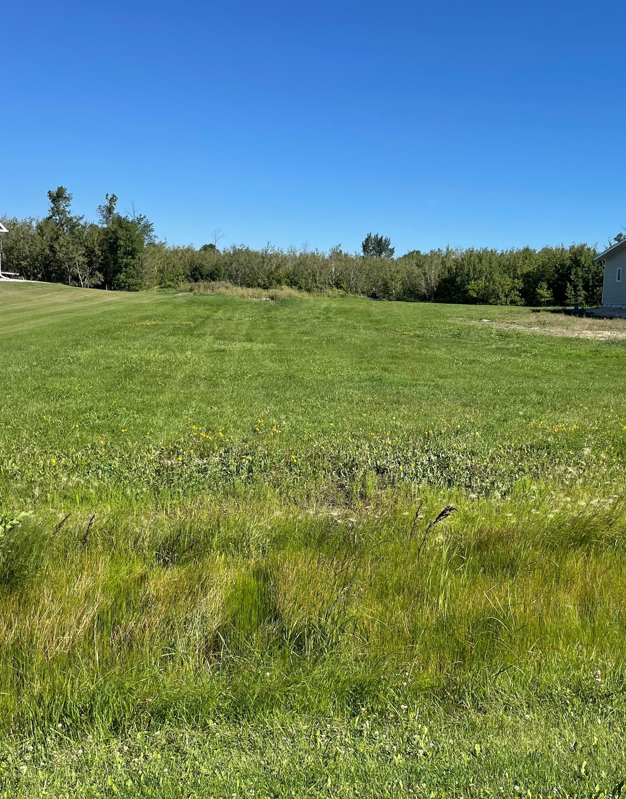 Main Photo: 50 Elie Street in Elie: Vacant Land for sale : MLS®# 202314638
