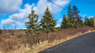 Photo 3: Lot Cape Split Road in Scots Bay: Kings County Vacant Land for sale (Annapolis Valley)  : MLS®# 202325495