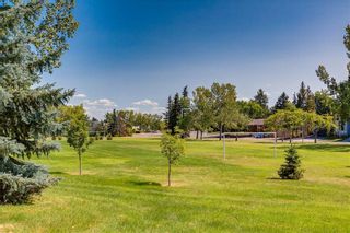 Photo 8: 1081 NORTHMOUNT Drive NW in Calgary: Charleswood Detached for sale : MLS®# C4262307