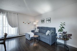 Photo 10: 402 2117 16 Street SW in Calgary: Bankview Apartment for sale : MLS®# A2039002