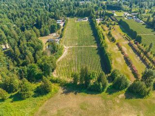 Photo 6: 27911 56 Avenue in Abbotsford: Poplar Agri-Business for sale : MLS®# C8056582